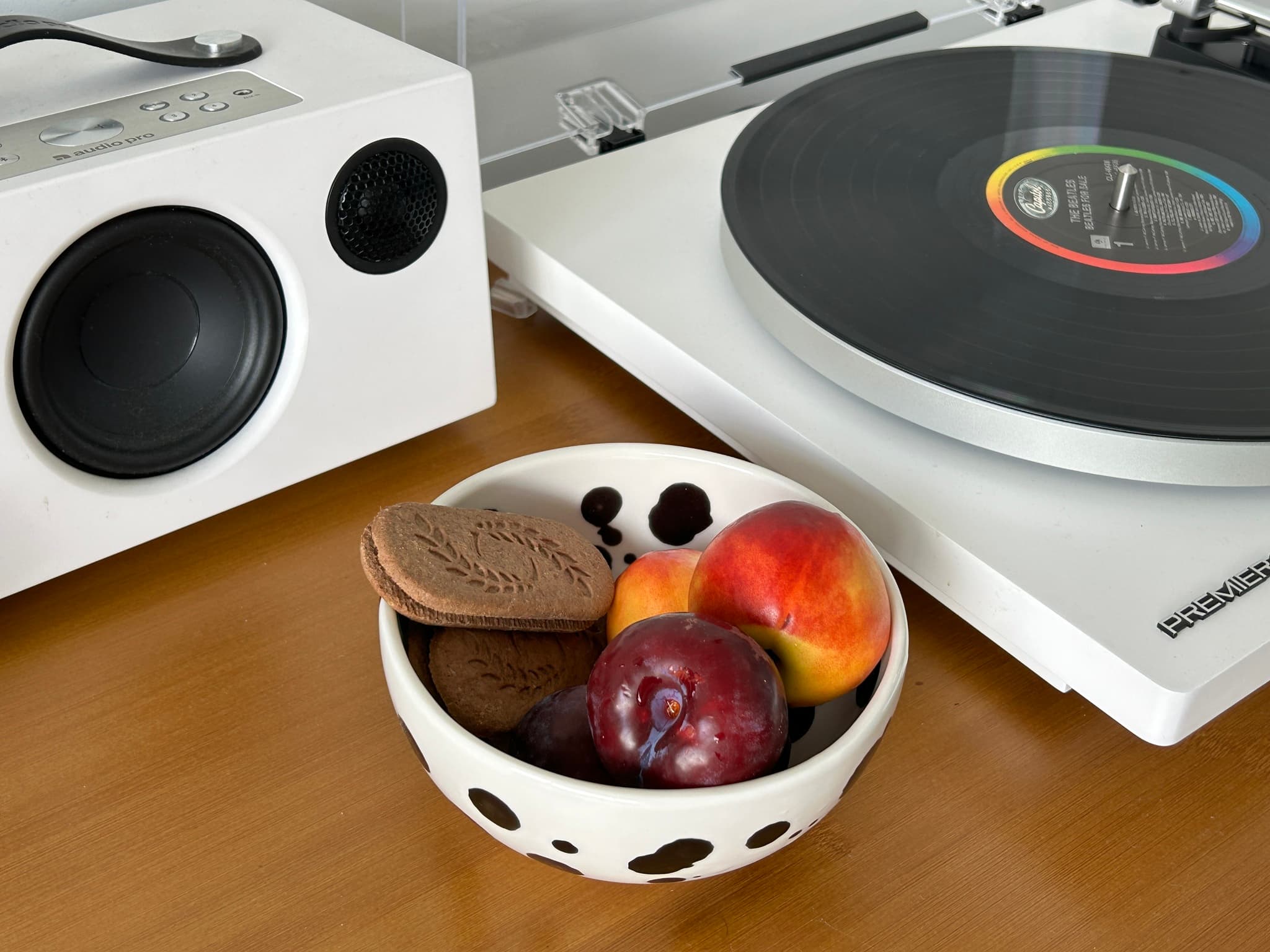 Миска Далматин