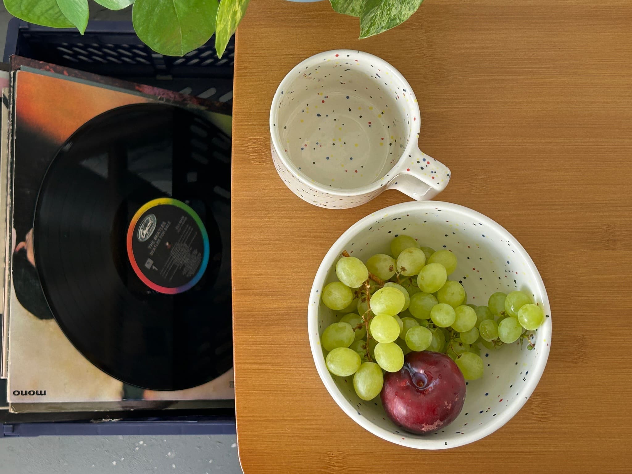 Миска Синичка