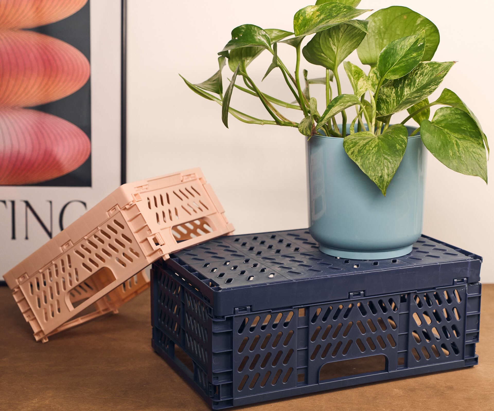 Ящик складной, синий