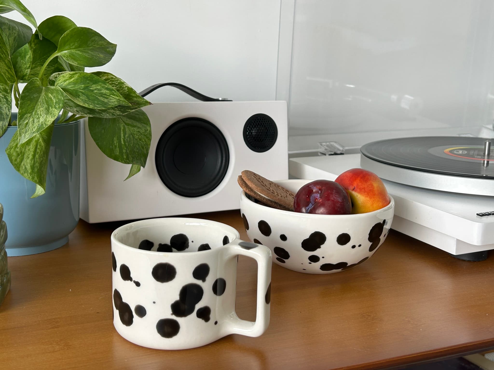 Миска Далматин