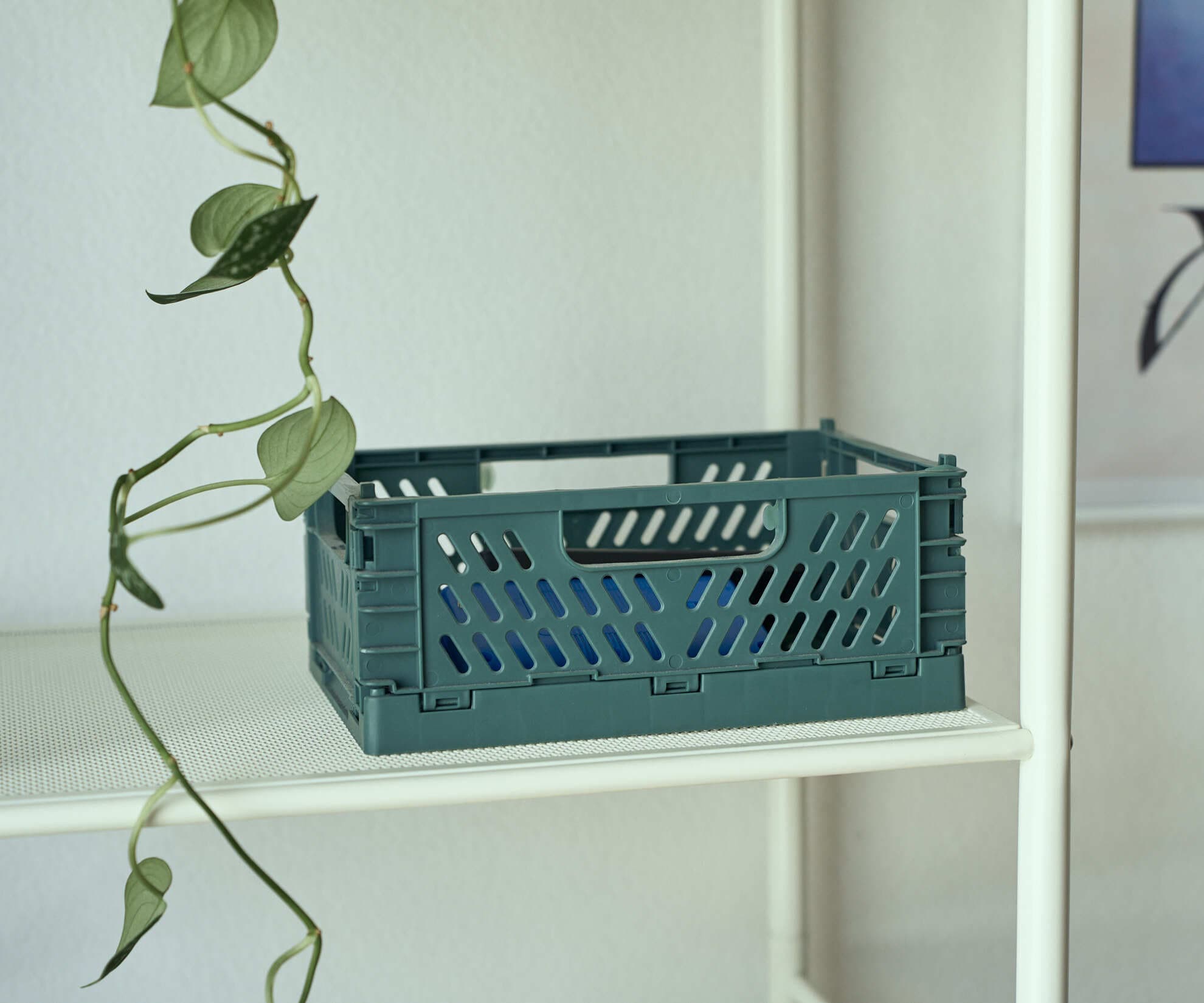 Ящик складной, зеленый