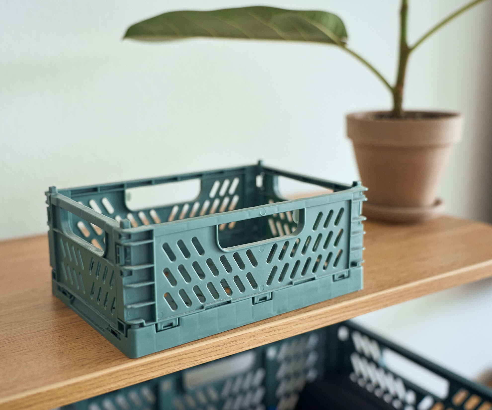 Ящик складной, зеленый