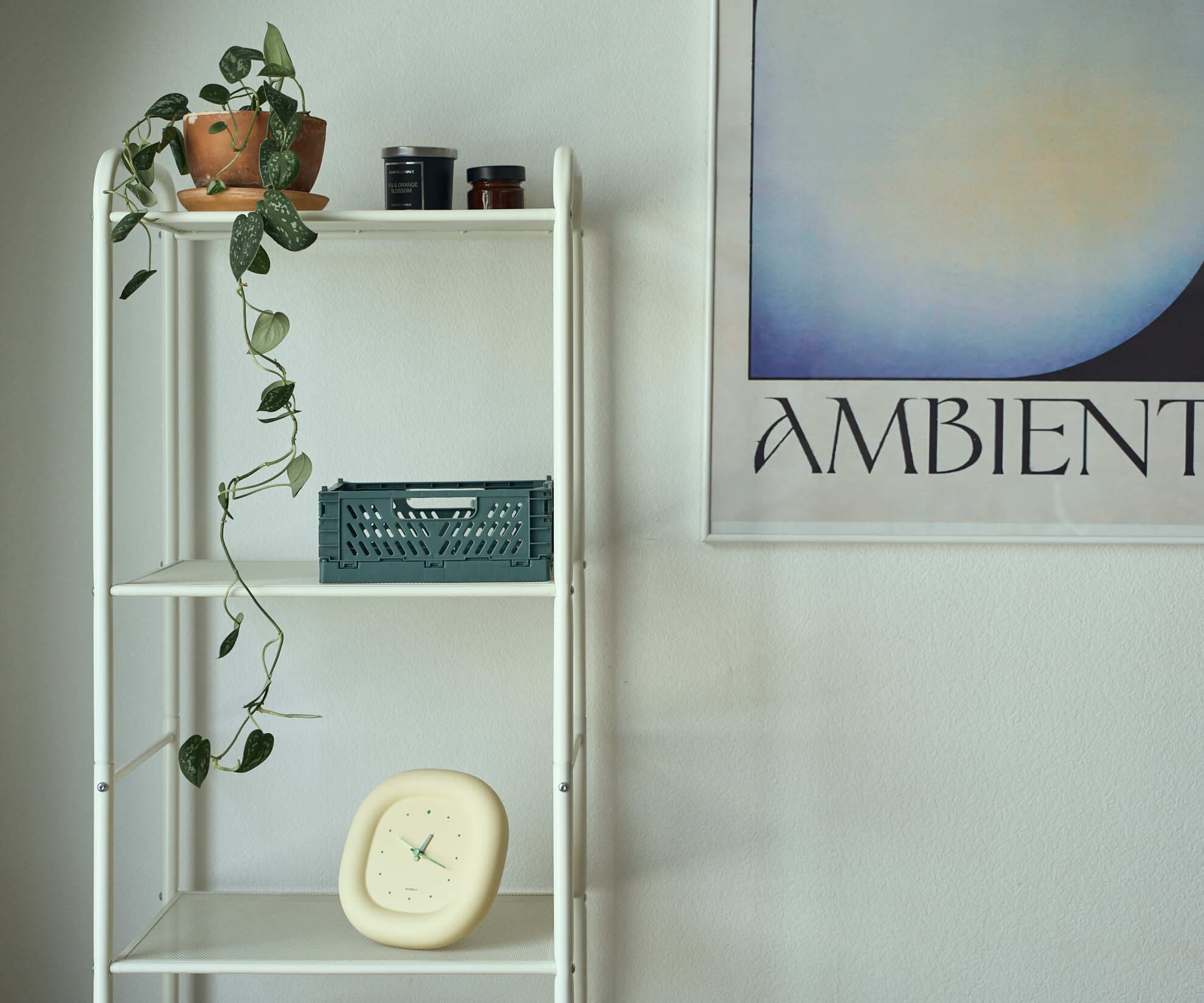 Ящик складной, зеленый