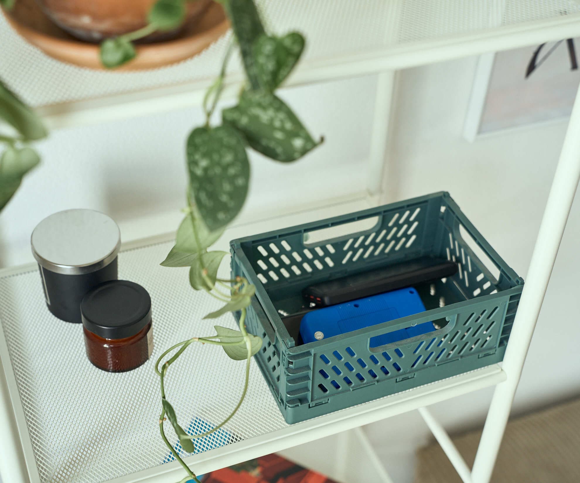 Ящик складной, зеленый