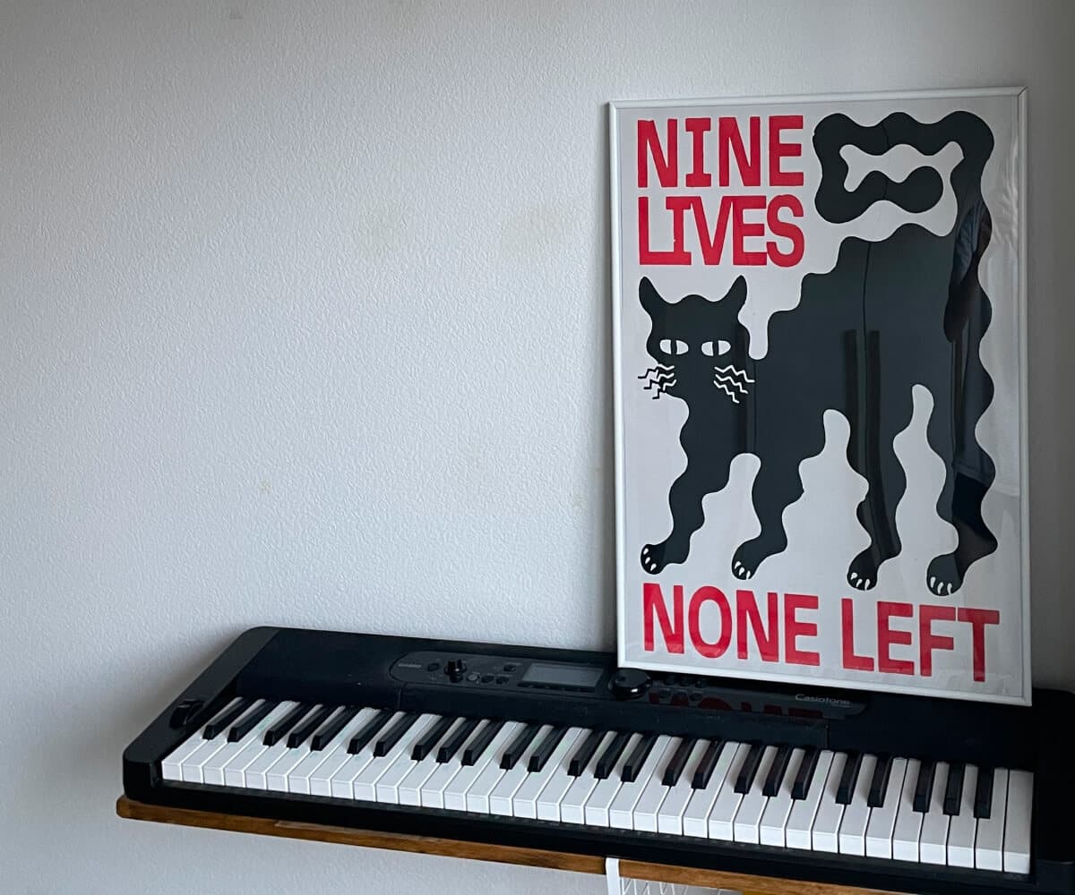 Постер Nine Lives